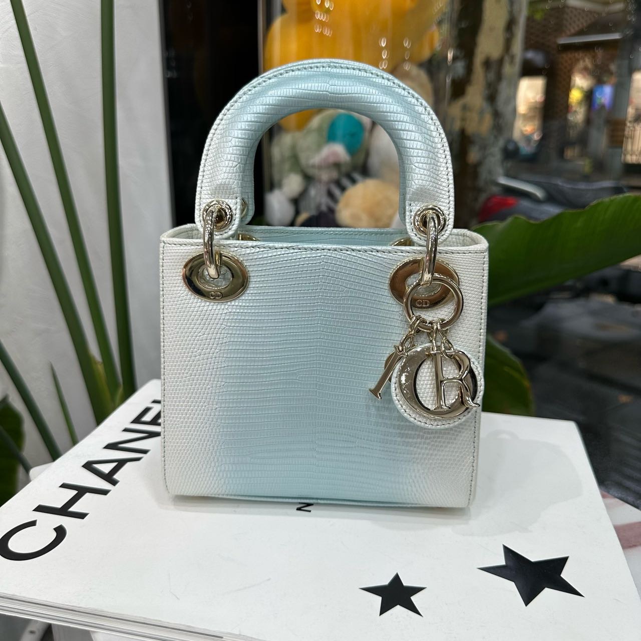 Dior 渐变蜥蜴皮三格戴妃 24年 全套带票证